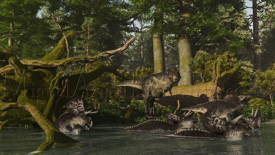 Tiranosaurio y Zuniceratops
